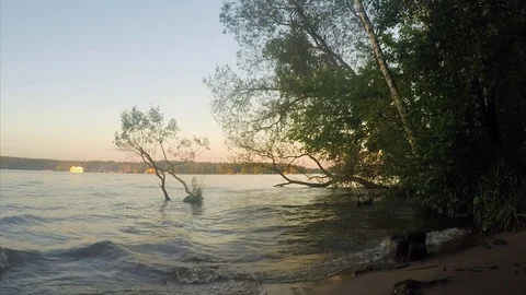 Early Evening At pond In The Forest 動画素材 82367512