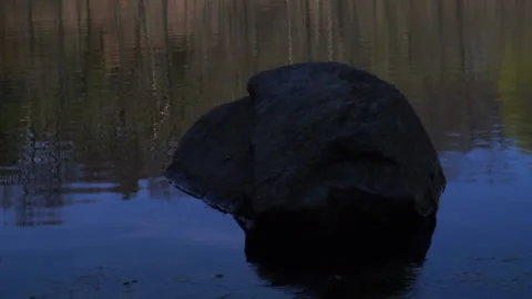 EARLY EVENING ROCK IN POND Video stock 194007734