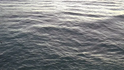 Early Evening Sea Stock Footage 107566616