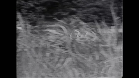 Early Experimental Hovercraft in Operation, 1960s Видео 338271167