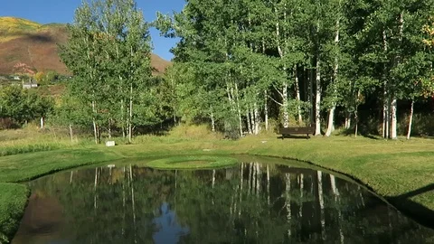 Early fall Aspen Meadows, trees reflected on pond. Stockbeeldmateriaal 97414323