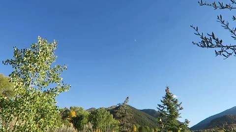 Early fall, beginning of trees turning yellow. Stock Footage 97417859