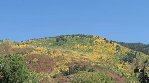 Early fall, changing colors on mountainside. Stock Footage 97405538
