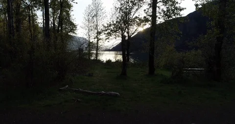 Early Fall Trees at Sunset Stock Footage 111397512