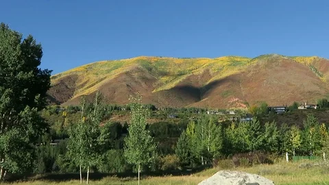 Early fall, view of golden mountainside. 動画素材 97416284