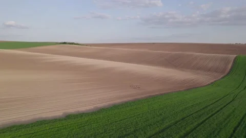 Early field H.265 Stock Footage 230609890