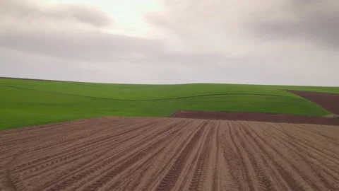 Early field ll H.265 Stock Footage 230610992