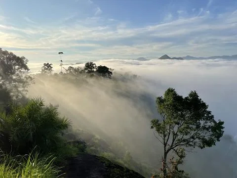 Early light Foto stock