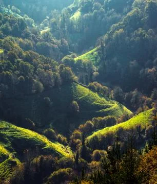 Early light in the valley Stock Photos