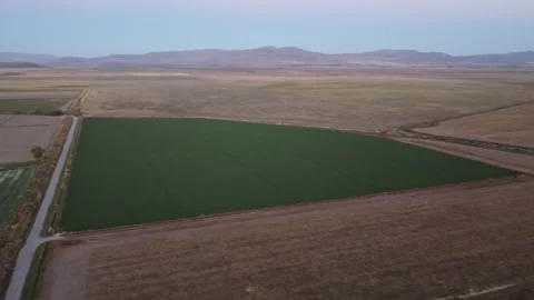 Early Monring Farm Fields (Pan) 库存影片 282304935