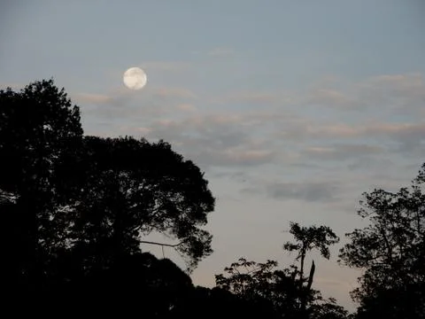 Early Moon Stock Photos