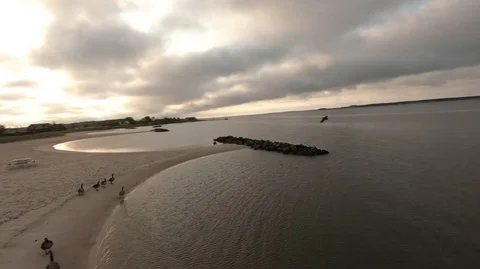 Early morning beach fly over Stock Footage