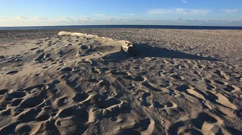 Early morning beach Stock Footage 12321014