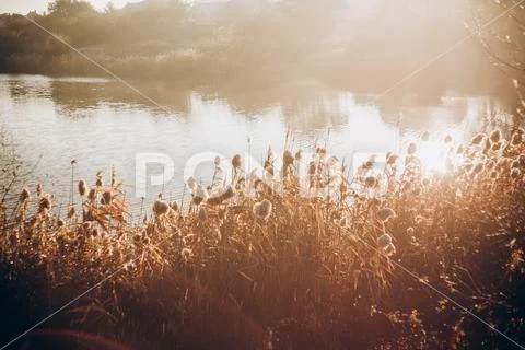Early morning. Beautiful, colorful autumn lake in sunlight rays. Autumn Stock Photos