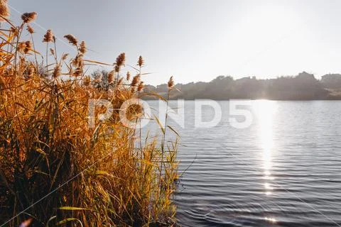 Early morning. Beautiful, colorful autumn lake in sunlight rays. Autumn Stock Photos