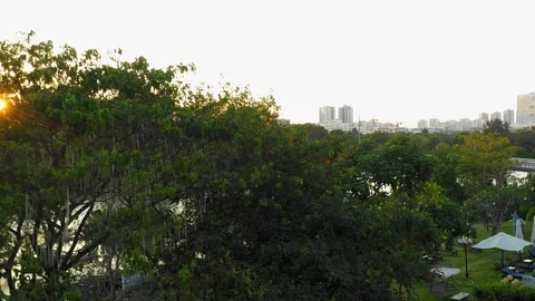 Early morning, behide a tree, fly up to view the city Stock Footage 105106751