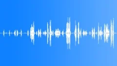 Early Morning Birds Ambience Sound Effect