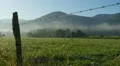 Early Morning in Cades Cove 1 HD Footage