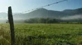 Early Morning in Cades Cove 2 HD Footage