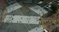 Early Morning Empty Crosswalk People Walk Commuters Commuting Urban Street Tokyo HD Footage