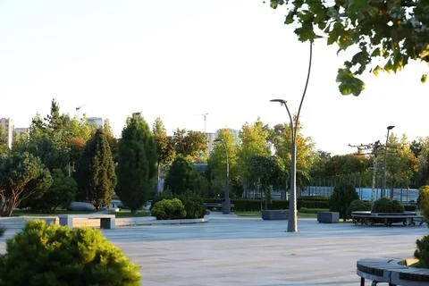 Early morning in the empty park Fotos Stock