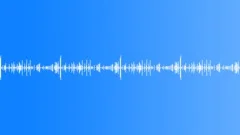 Early Morning, the First Birds Singing in the Forest - ambient, background loSound Effect