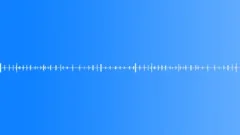 Early Morning, the First Birds Singing in the Forest - ambient, background loSound Effect