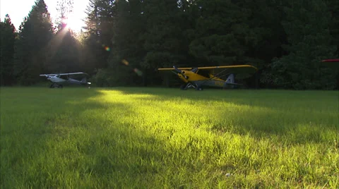 Early Morning Flight Stock Footage 35794660