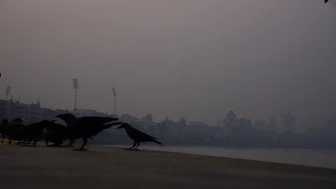 EARLY MORNING Video stock 98488554