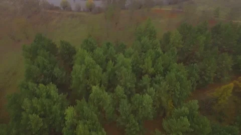 Early morning mist floating over calm water, lake. Aerial view Stock Footage 211807669