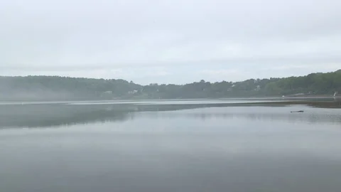Early morning mist on a mudflat Stock Footage 233205725