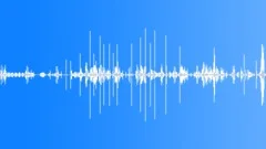 Early Morning Park AmbienceSound Effect