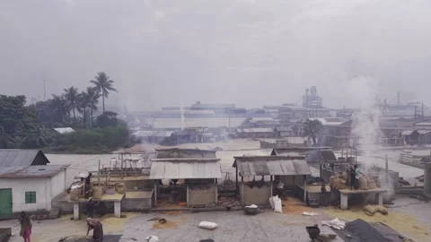 Early Morning Rice Processing Begins at Khajanagar Rice Mill Drying Yard Vídeo Stock 346218834