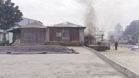 Early Morning Rice Processing Begins at a Rice Mill Drying Yard in Bangladesh Stock-Footage 346219179
