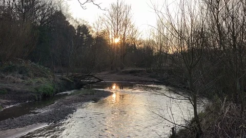 Early Morning River Stock Footage 100988912