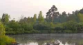 Early morning on the river with a lone tree and moving fog HD Footage