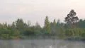 Early morning on the river with a lone tree and moving fog HD Footage