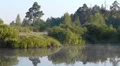 Early morning on the river with a lone tree and moving fog HD Footage