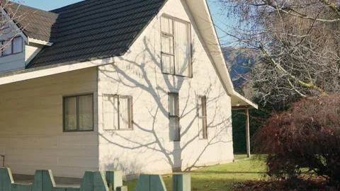 Early morning shadow of tree on wall of residential private house in small town Stock Footage 289416191