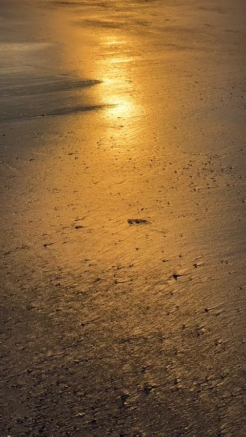 Early morning sun reflecting off the sand making it yellow 스톡 동영상 196928853