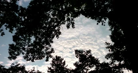 Early Morning Timelapse Stock Footage 339288216