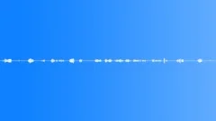 Early Morning in Tuscany Country - loop Sound Effect