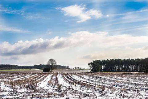 Early onset of winter with the first snowfall Stock Photos