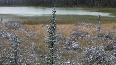 Early Snow on Trees and Pond in Jasper National Park Vídeo Stock 42229213