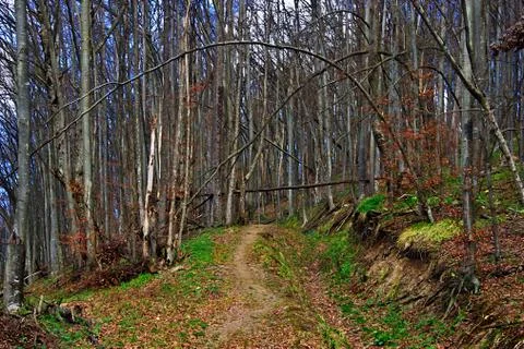 Early spring 23 Stock Photos