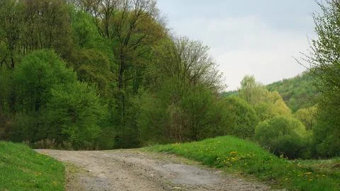 Early spring 4K Stock Photos