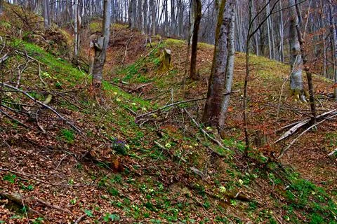 Early spring 6 Stock Photos