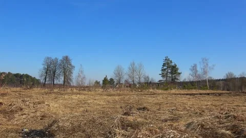 Early spring and field of dry grass Stock Footage 271019193