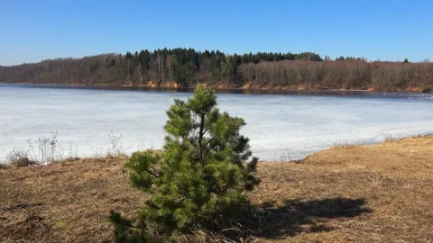 Early spring and the Western Dvina River Stock Footage 271019102