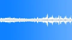 Early spring birds in town ambience loopSound Effect
